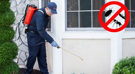 Kent 2 Karınca İlaçlama böcek ilaçlama ve haşere kontrolü — ilaclama-tr.com